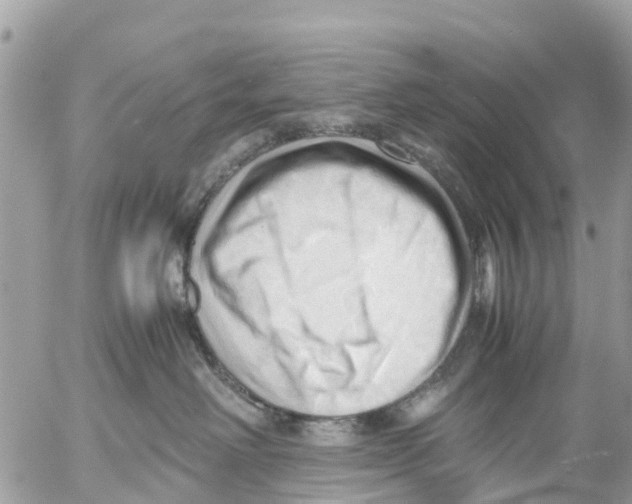 X0000053090238200508081319