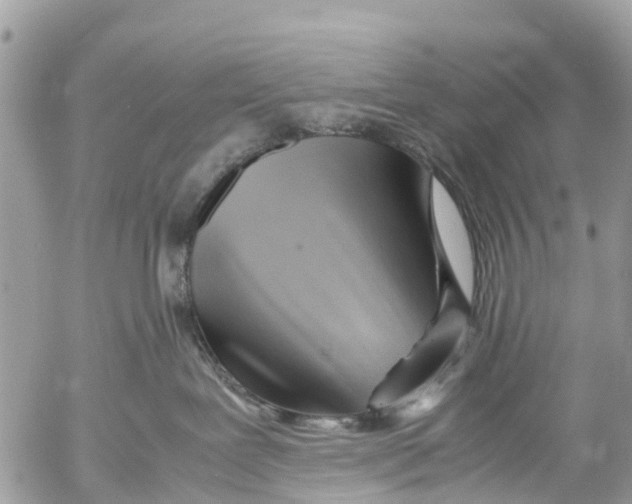 X0000053090239200508081319