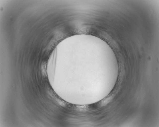 X0000053090240200508081319