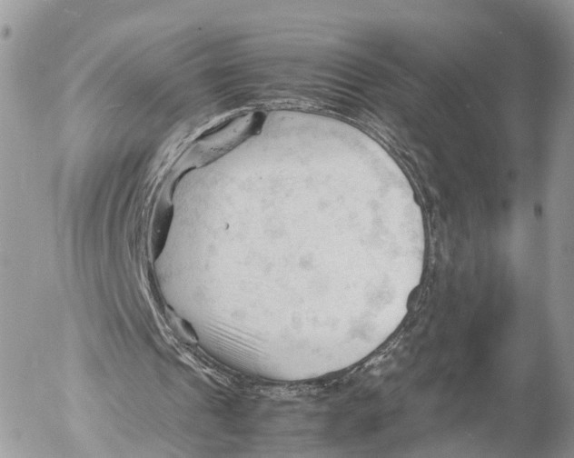 X0000053090241200508081318