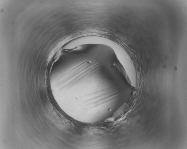 X0000053090244200508081318