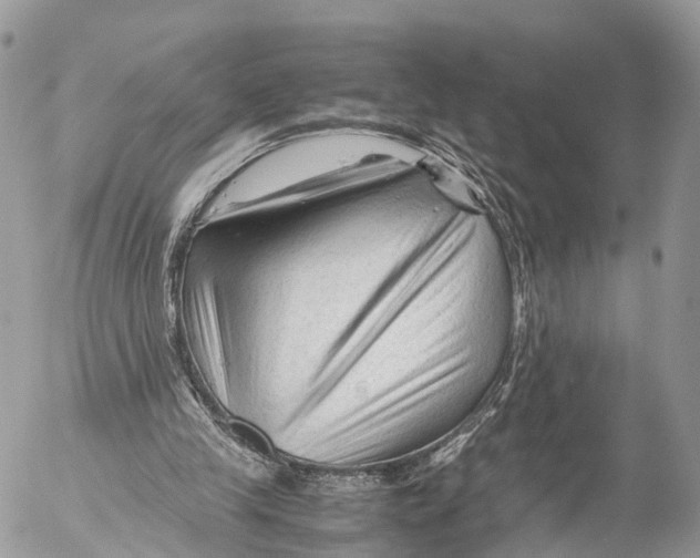 X0000053090245200508081318