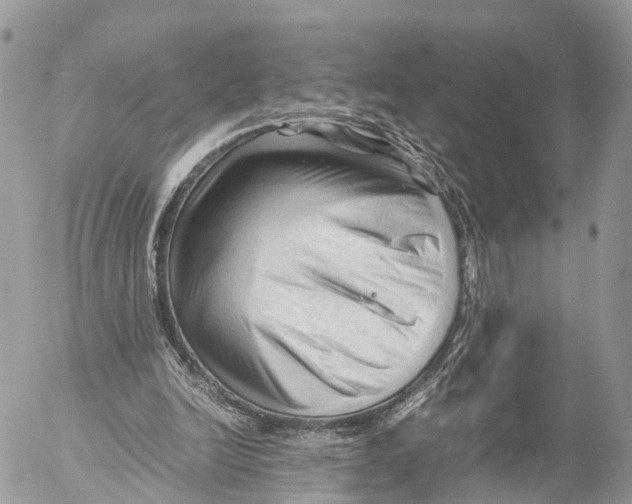 X0000053090246200508081318