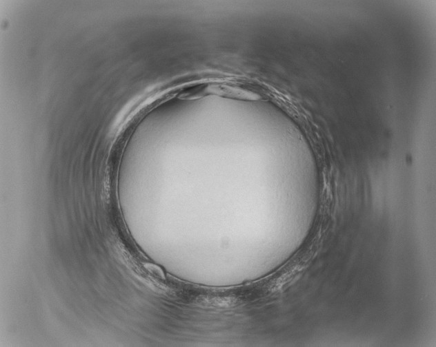 X0000053090247200508081318