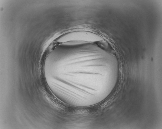 X0000053090248200508081318