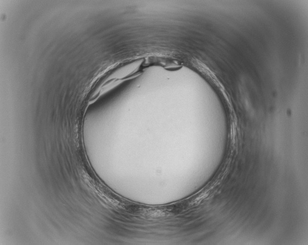 X0000053090249200508081318