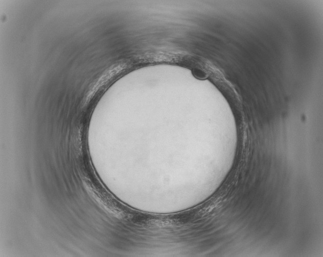 X0000053090250200508081318