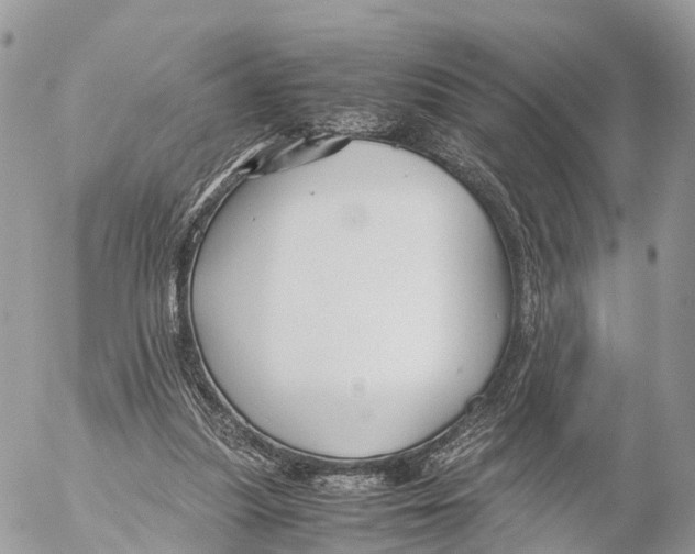 X0000053090251200508081318