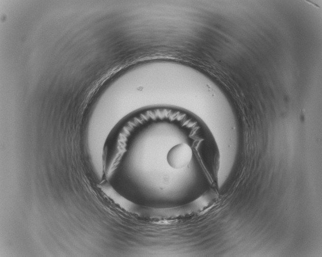 X0000053090252200508081318