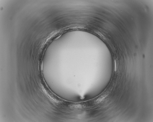 X0000053090253200508081318