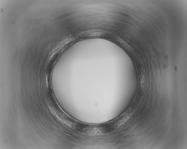 X0000053090254200508081318