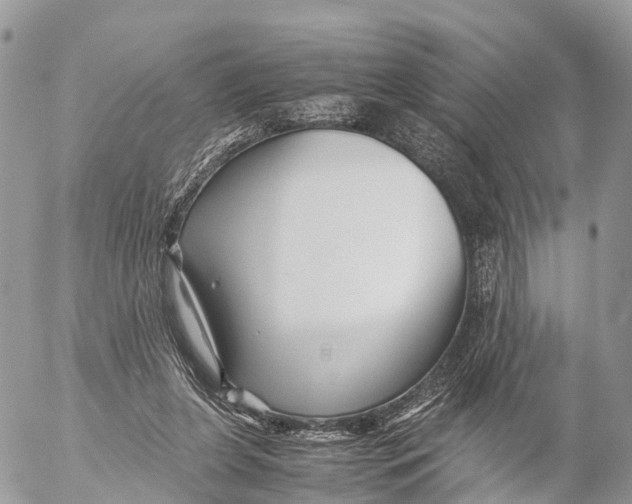 X0000053090255200508081318