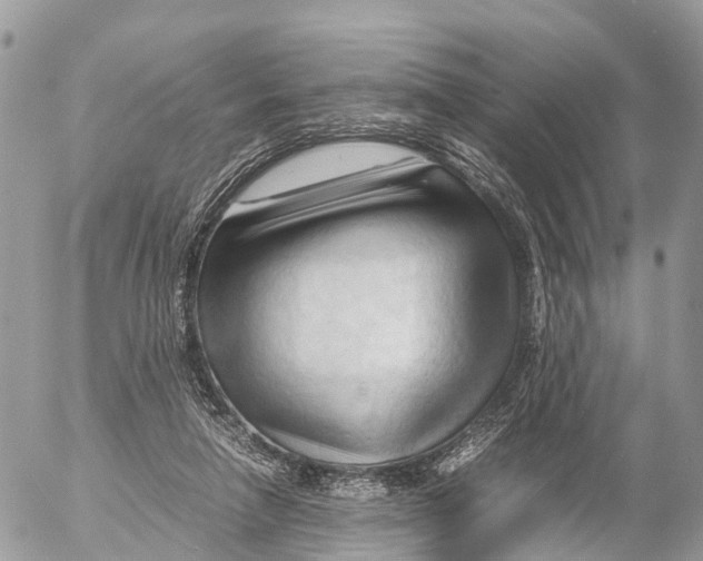 X0000053090258200508081318