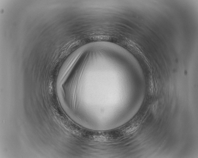 X0000053090259200508081318