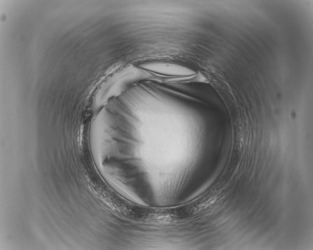 X0000053090260200508081318