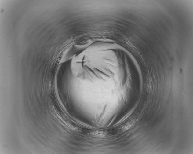 X0000053090261200508081318