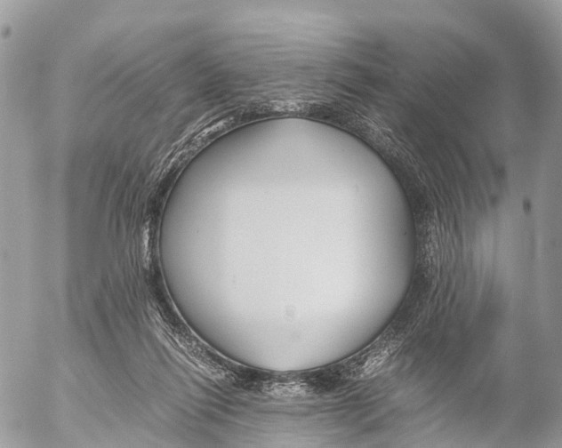 X0000053090262200508081318