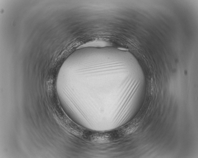 X0000053090263200508081318