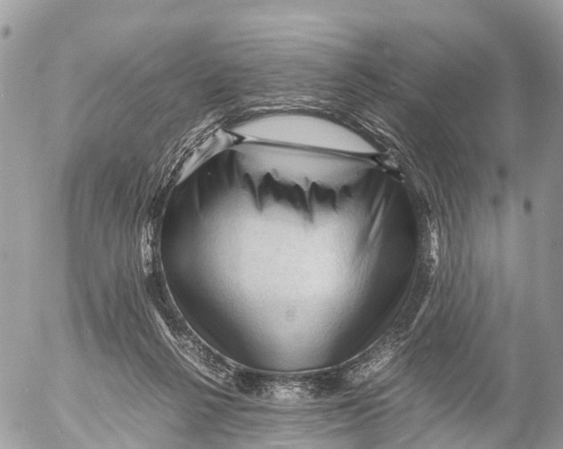 X0000053090264200508081318