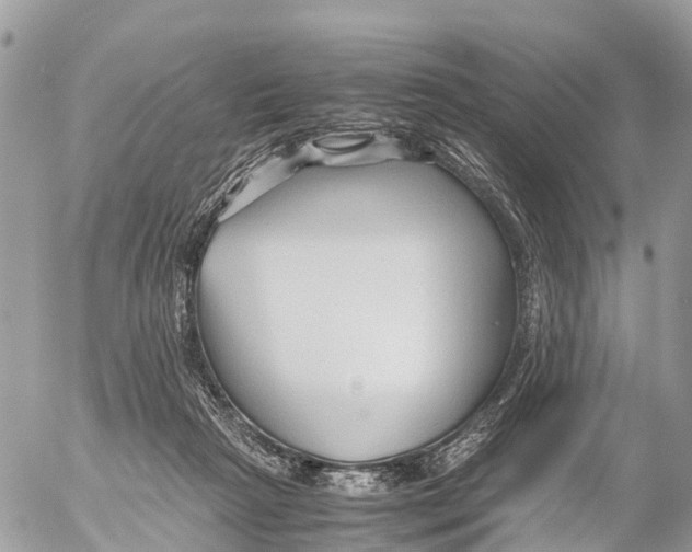 X0000053090265200508081318