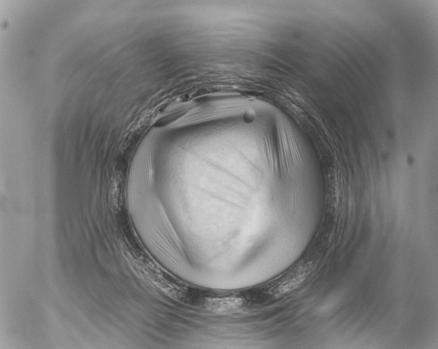 X0000053090266200508081318