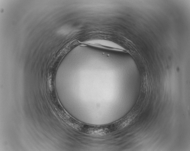 X0000053090267200508081318