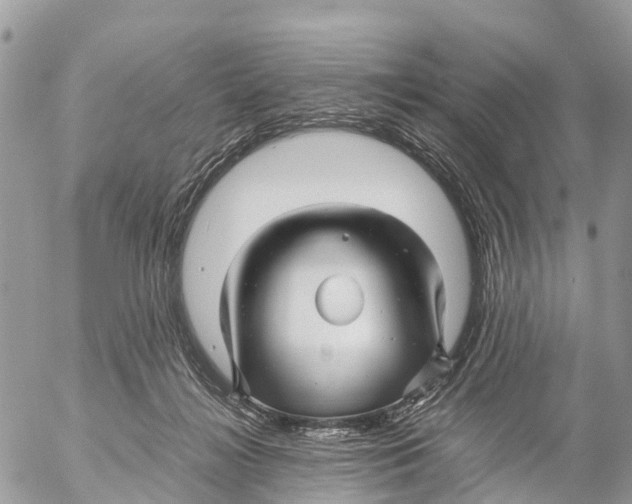 X0000053090268200508081318