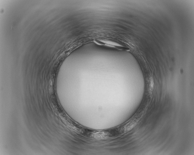 X0000053090269200508081318