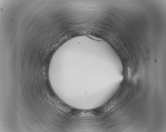 X0000053090270200508081318