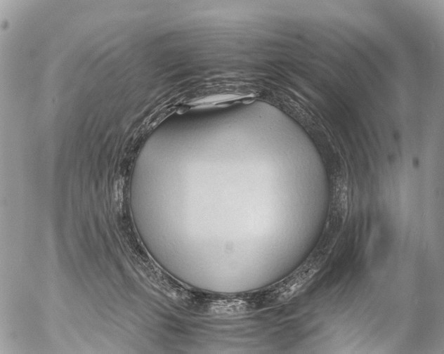 X0000053090271200508081318