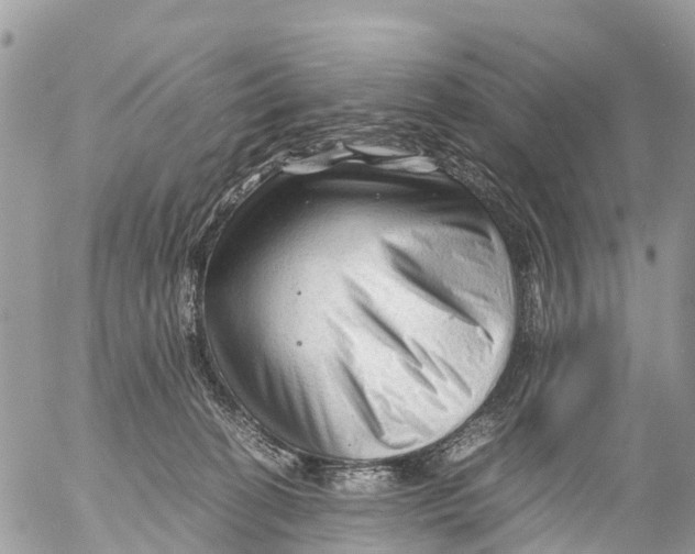 X0000053090274200508081318