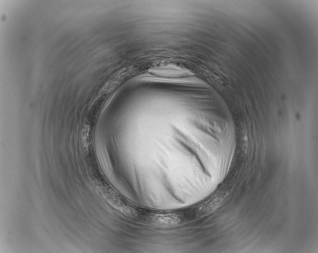 X0000053090275200508081318