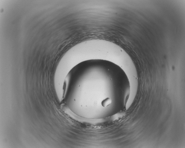 X0000053090276200508081318