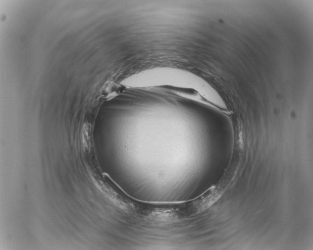 X0000053090280200508081319