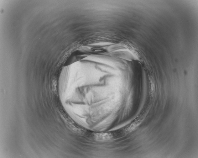 X0000053090281200508081319