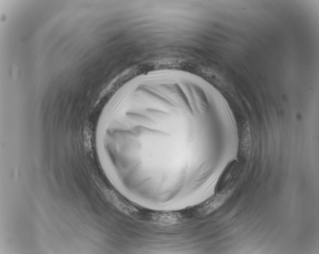 X0000053090282200508081319