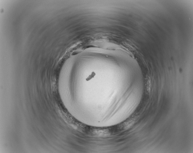 X0000053090283200508081319