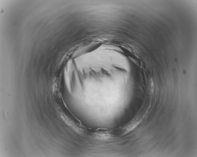 X0000053090284200508081319