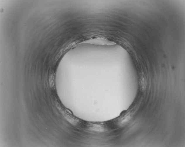 X0000053090285200508081319