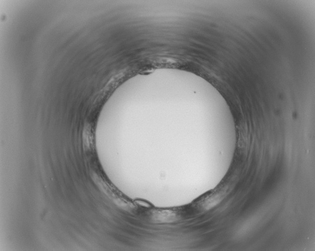 X0000053090287200508081319