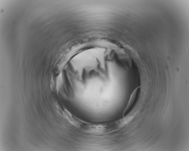 X0000053090288200508081319