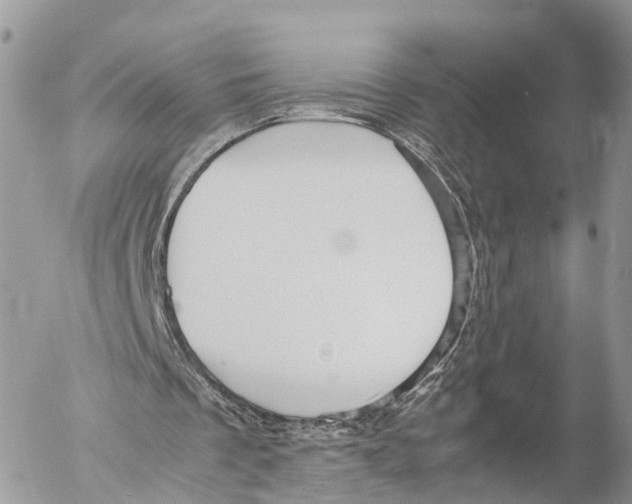 X0000053090289200508081318