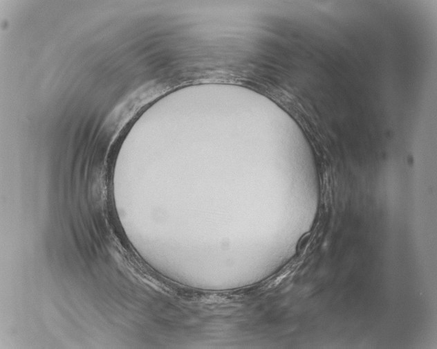 X0000053090290200508081318