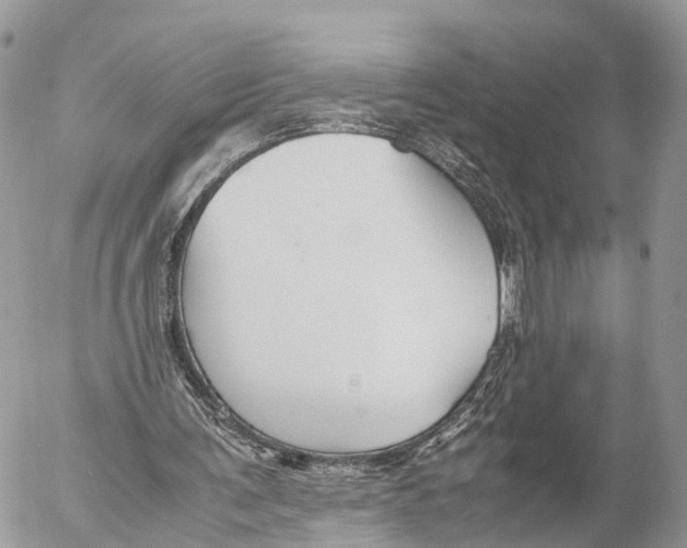 X0000053090291200508081318