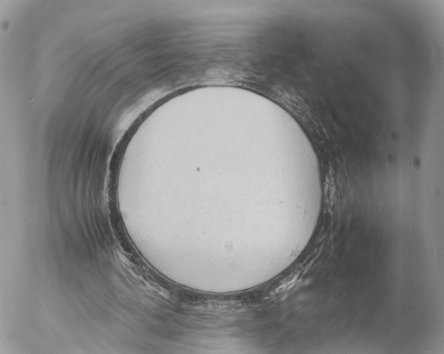 X0000053090292200508081318