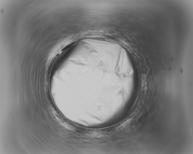 X0000053090293200508081318