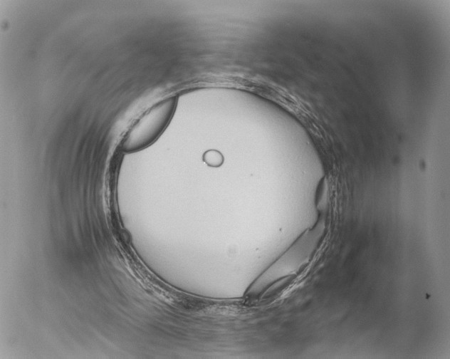 X0000053090294200508081318