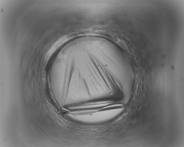 X0000053090295200508081318