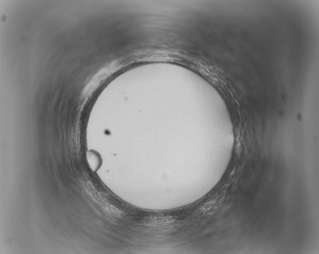 X0000053090296200508081318