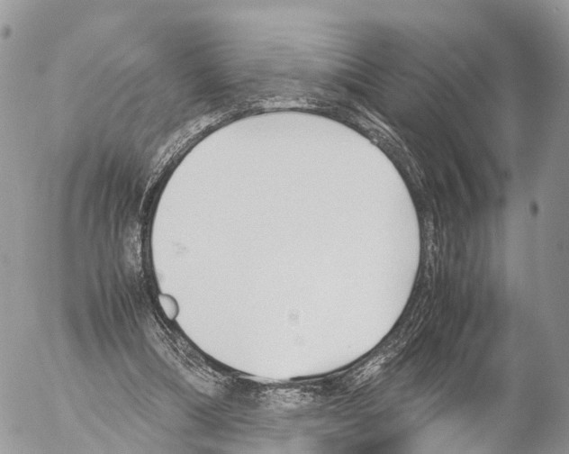 X0000053090298200508081318